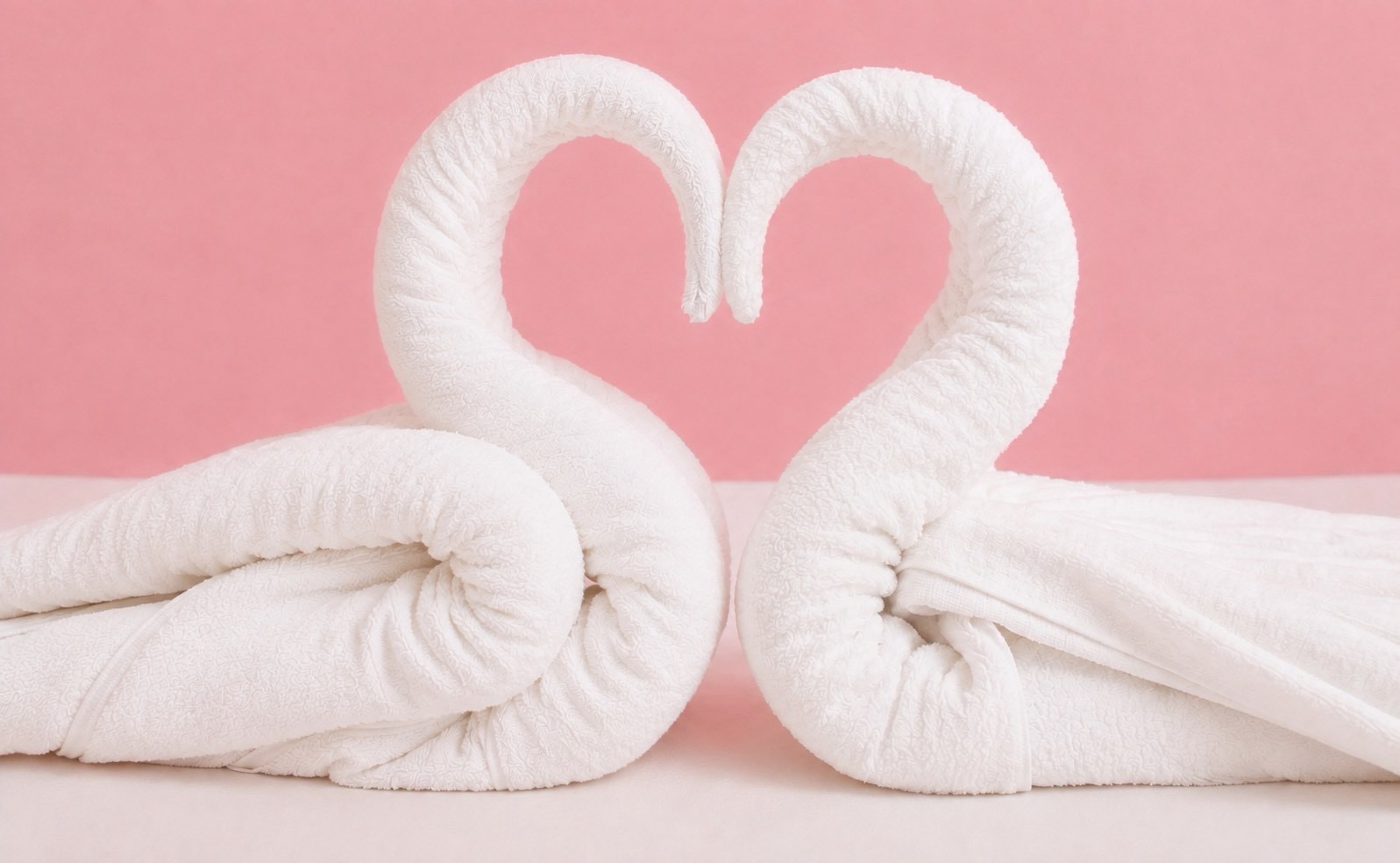 Towel Artオプション